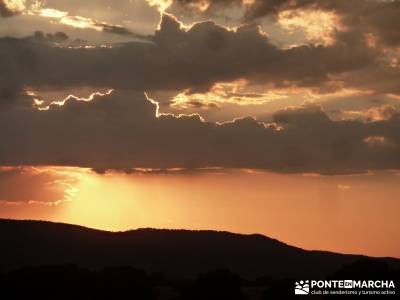 Berrea del Ciervo en Cabañeros y Montes de Toledo en 4x4;la horizontal rutas montaña madrid